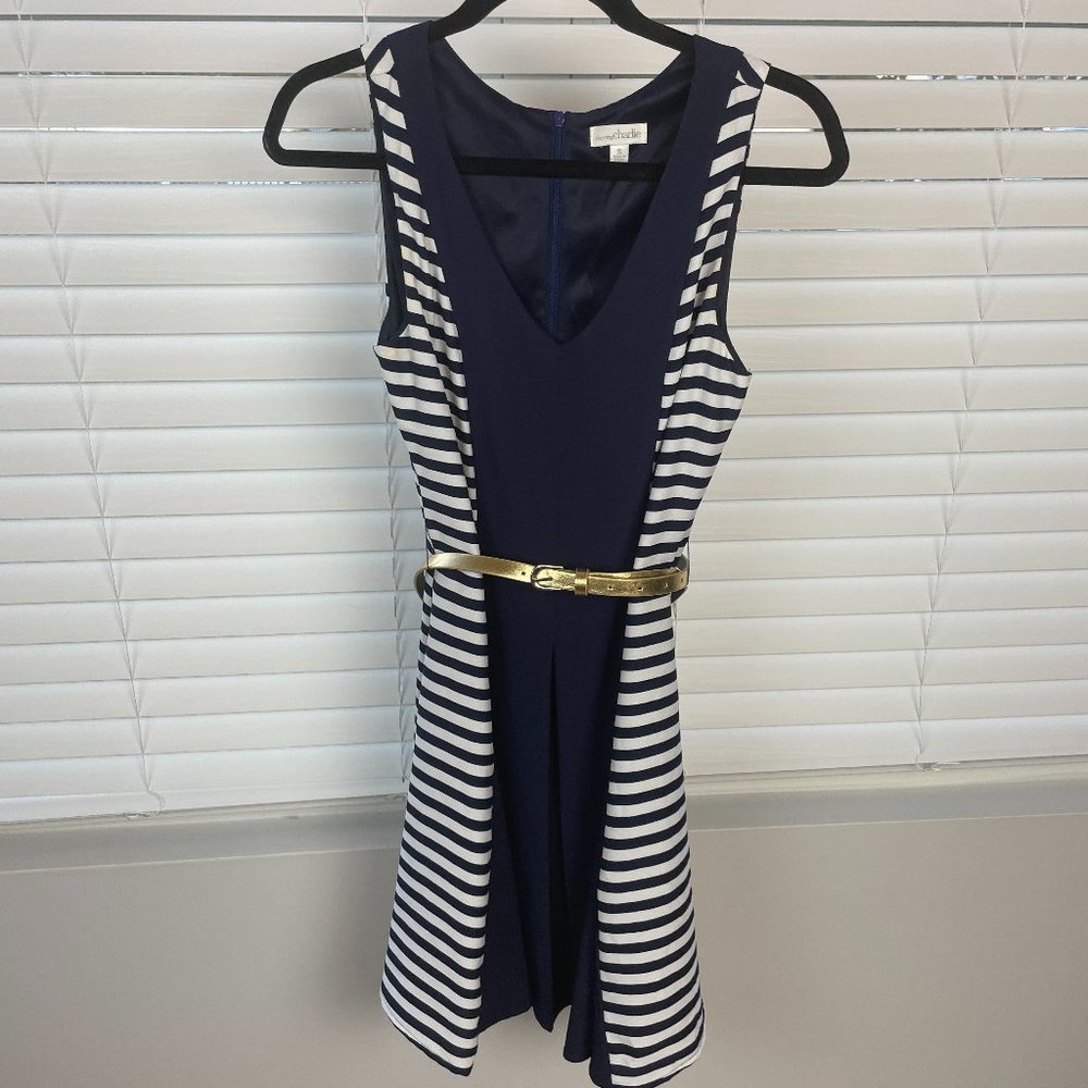 Charming Charlie Navy/White Dress (Used)